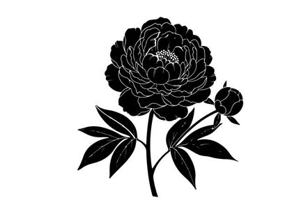 Silhouette of a large flower with leaves and bud