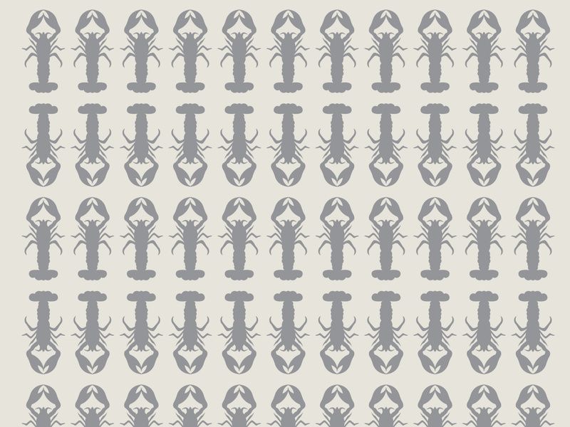 Seamless pattern shrimp vector