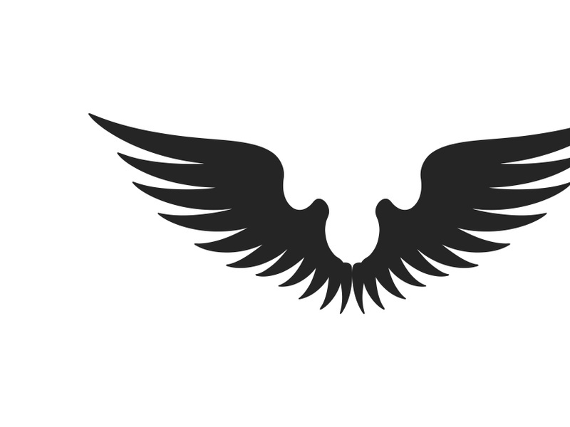 black bird wing logo vector