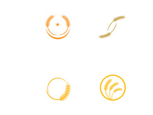 Wheat or cereal logo, wheat field and wheat farm logo.With easy and simple editing.