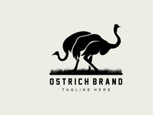 Ostrich Logo Design, Desert Animal Illustration, Living In The Forest, Vector Camel Brand Product