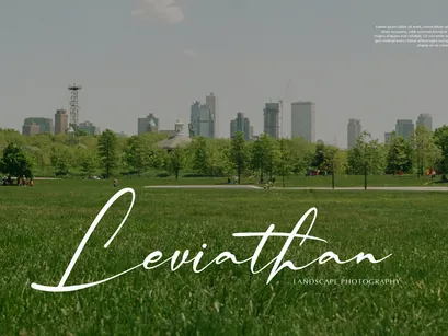 Palmintte | Handwritten Script