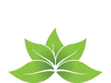 Logos of green tree leaf ecology nature element vector