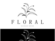 Elegant floral and leaf frame. Delicate botanical vector illustration for labels, spas, corporate identity, and wedding invitations