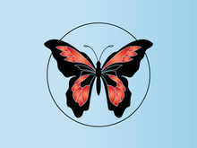 Butterfly logo design