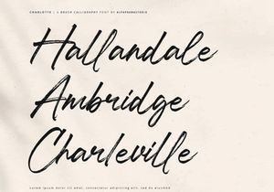 Charlotte - Brush Calligraphy Font