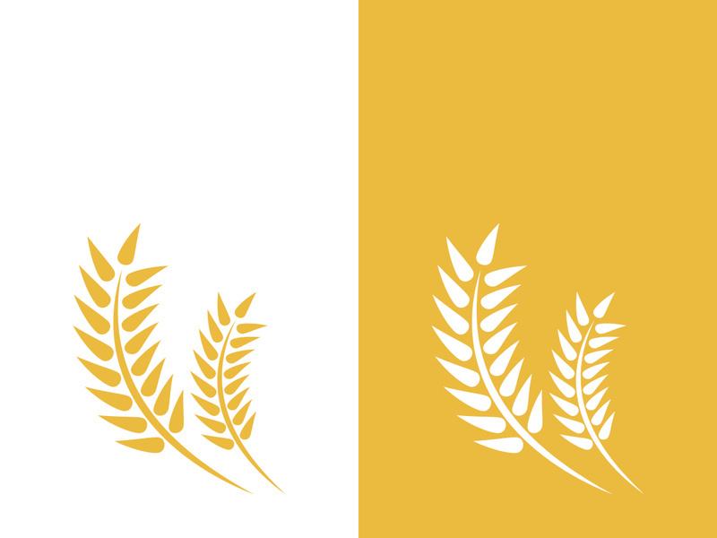 Wheat logo vector icon illustration design