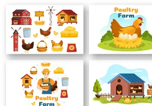 17 Poultry Farm Design Illustration