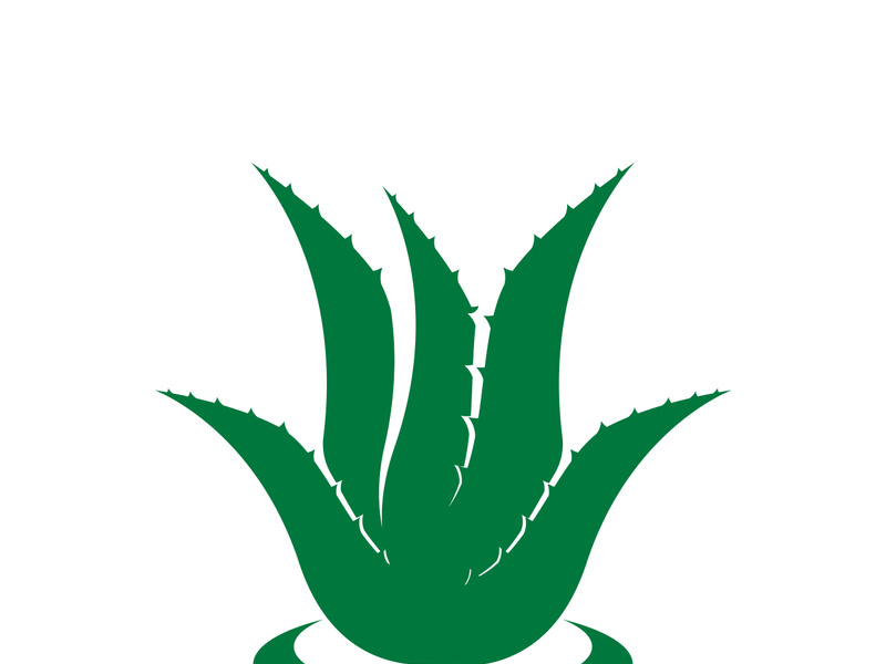 Aloe Vera logo icon design symbol beauty skin care