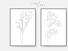 Monstera leaf line art