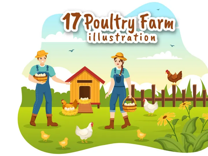 17 Poultry Farm Design Illustration