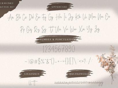 Baster Monky - Monoline Script Font