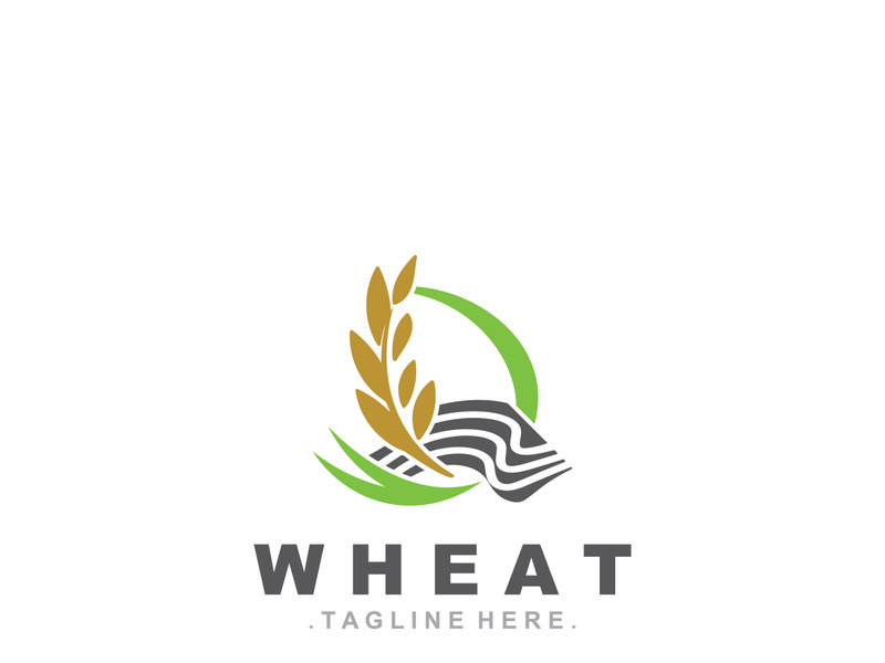 Wheat logo concept, agriculture nature wheat grain logo template