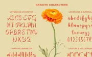 Garnite - Handwritten Script Font