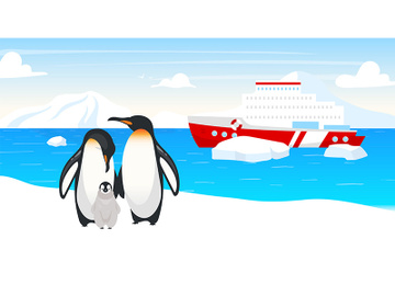 Antarctic wildlife flat vector illustration preview picture