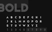 Privus Type Family — Free Demo