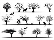 Trees Silhouettes Collection