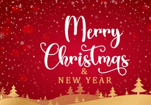 Christmas Cheer