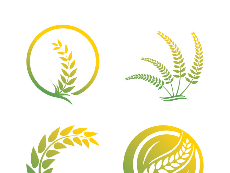 Wheat logo vector icon illustration design
