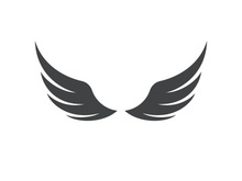 Wing  logo icon vector illustration