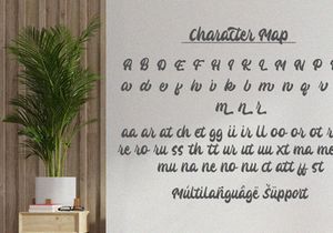 Katracy - Bold Script Font