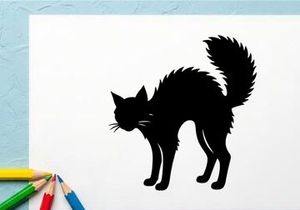 Silhouette of a Black Cat with Fluffy Tail in Side Profile