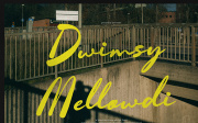 Dwimsy Mellowdi | Handwritten Script