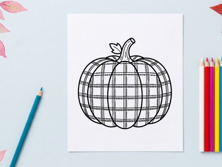Plaid pumpkin line art illustration. Hand drawn autumn squash sketch for seasonal decor.