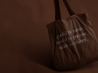 Angdiva | Display Serif Font