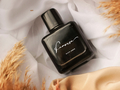 Palmintte | Handwritten Script
