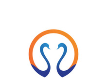 Swan logo Premium and symbol Vector
