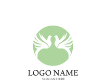 Dove bird logo vector design illustration