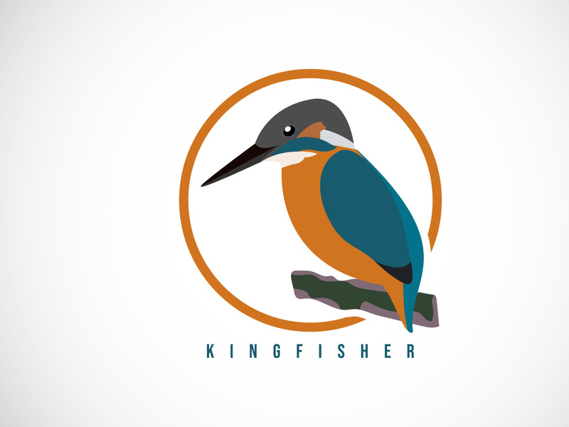 Kingfisher bird in a circle. Kingfisher bird logo design template vector illustration