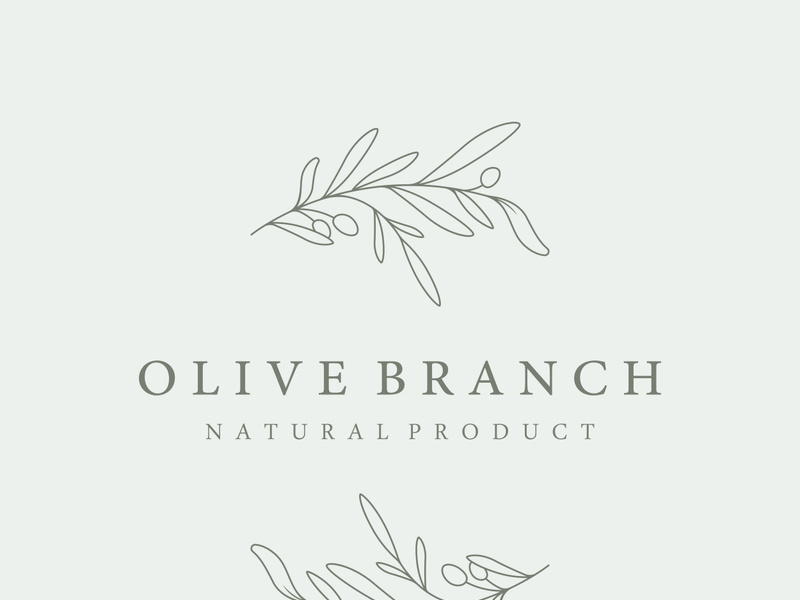 Hand drawn Botanical logo,leaf and natural olive fruit .Herbal, olive oil,cosmetic or beauty.