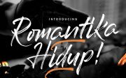 Romantika Hidup - Dry Brush Script Font