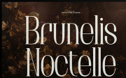 Brunelis Noctelle | Display Serif Font