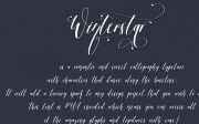 Winterstar Script Font