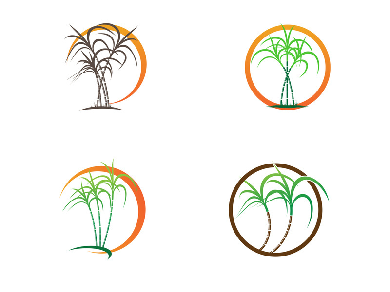 Sugarcane logo vectcr