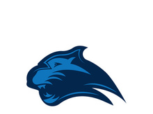 Panther head logo icon vector design template illustration