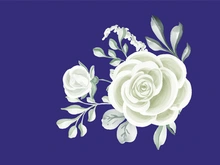 Vector Flower Watercolor Illustration