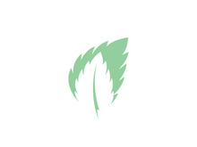Mint Leaf icon template illustration