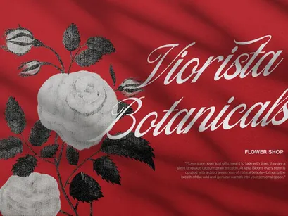 Filagio Vilantio | Classic Elegant Script