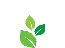 leaf logo green ecology nature element vector image
