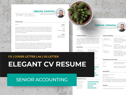 Elegant CV Resume Template - Senior Accounting