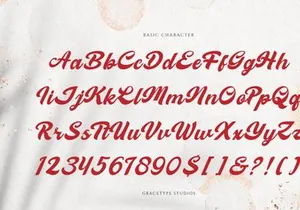Melcostra | Handwritten Bold Script