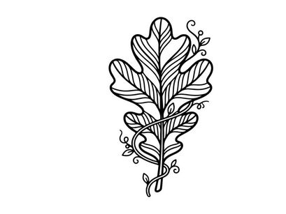 Ilustrasi botani terperinci dari daun ek. Gambar tanaman alami artistik untuk penggunaan pendidikan atau desain.