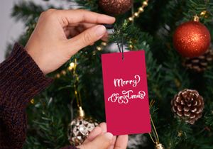 Beauty Christmas