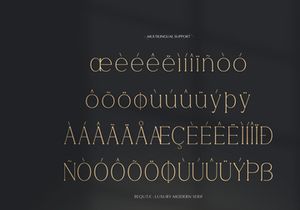 Bequta | Luxury Modern Serif