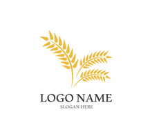 Wheat logo vector icon illustration design