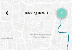 Parcel Tracking app UI